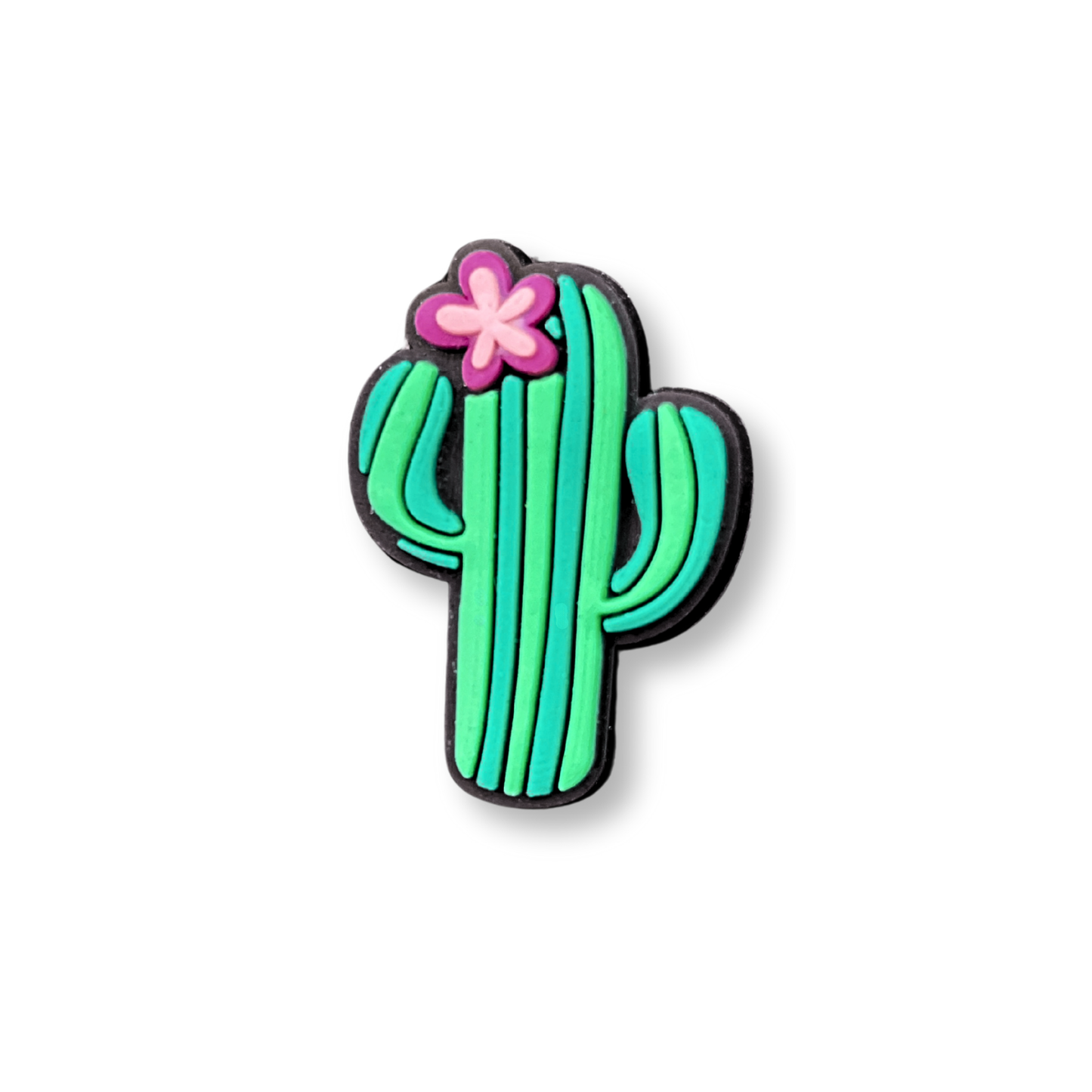 SunnyCharm - Cactus